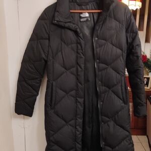 The North Face Black Puffer Jacket with Stand-Up Collar